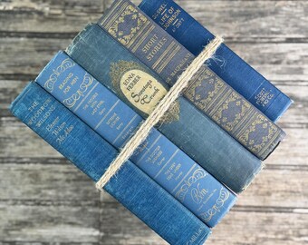 Ornate Blue and Gold Vintage Book Set for Moody Shelf Styling