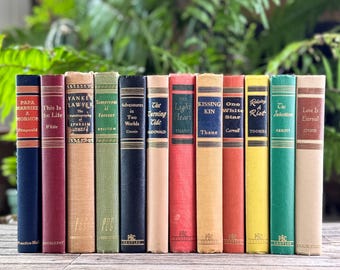 Mid-Century Multicolor Vintage Book Set for Office and Livign Room Shelf Styling