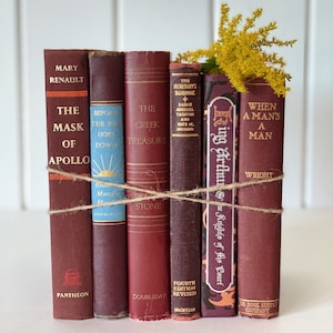Dark Red Vintage Book Set: Mid-Century Modern Decorative Books