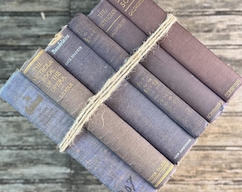 Vintage Mauve and Purple Shabby Vintage Books for Shelf Styling