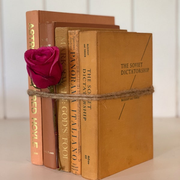 Bookshelf Decor Etsy