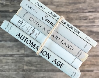 Vintage Gray and Black Book Set For Shelf Styling