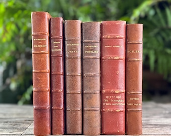 Antique Copper, Brown, and Red French Leather Book Bundle