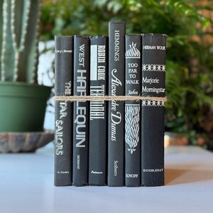May include: A stack of black and white hardcover books with white text titles. The books are tied together with twine. The titles include "The Tar Sailors", "West Harlequin", "Robin Cook Terminal", "Alexa Dre Dumas", "Too Far To Walk", and "Marjorie Morningstar".