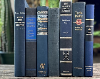 Navy Blue and Black Vintage Book Bundle For Shelf Styling