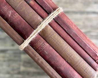 Antique Shabby Red & Brown Book Bundle for Moody Shelf Styling