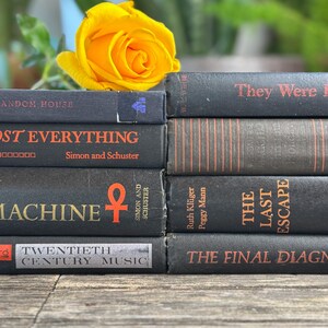 Paquete de libros vintage en negro y naranja para decorar estanterías de Halloween y decorar con motivos góticos. imagen 8