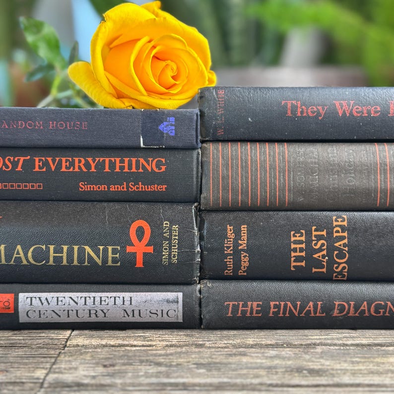 Paquete de libros vintage en negro y naranja para decorar estanterías de Halloween y decorar con motivos góticos. imagen 8