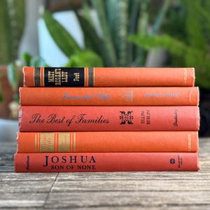 Könnte beinhalten: Ein Stapel von fünf Vintage-Büchern mit orangefarbenen Einbänden. Die Titel lauten "Matt Regan's Lady", "Immortal Wife", "The Best of Families", "Kentucky Stand" und "Joshua Son of None". Die Bücher liegen auf einer Holzoberfläche.