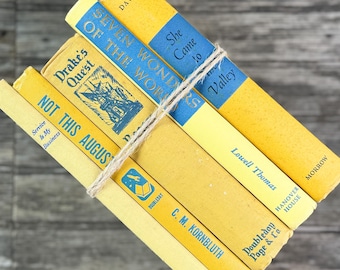 Bright Yellow and Blue Vintage Book Bundle for Shelf Styling