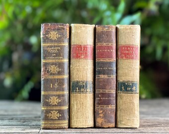 Mini Old Brown & Tan French Leather Book Bundle for Small Spaces