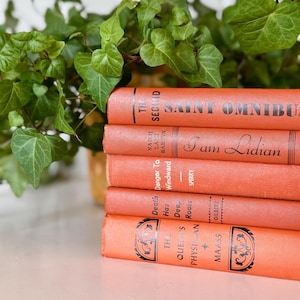 Könnte beinhalten: Ein Stapel von fünf Vintage-Büchern mit orangefarbenen Einbänden. Titel sind u.a. "Saint Omnibus" und "I am Lidian". Die Bücher sind gestapelt, die Buchrücken sichtbar. Grünes Laub im Hintergrund. Ein dekoratives Objekt.