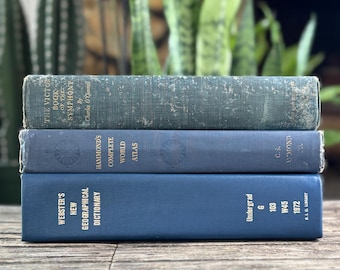 Blue Vintage Oversized Reference Books for Console Table Decor