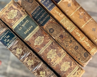 Antique 1800s Brown, Black, and Gold French Leather Book Bundle