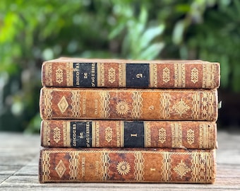 Antique French Leather Book Ornate Book Set for Small Spaces