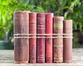 Antique Red French and English Classic Book Bundle
