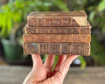 Small Shabby Antique French Book Set in Brown and Gold Leather