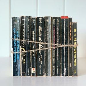 Pu&ograve; includere: Una pila di 10 libri tascabili vintage con copertine nere e testo bianco. I libri sono legati insieme con uno spago. I titoli includono "Six Centuries of Great Poetry", "A Ride to Panmunjom", "Under the Volcano", "A Streetcar Named Desire", "Fathers and Sons", "Pamela", "The Satan Seller" e "The Price and the Pauper".