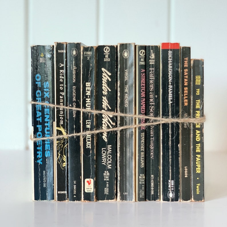 Pu&ograve; includere: Una pila di 10 libri tascabili vintage con copertine nere e testo bianco. I libri sono legati insieme con uno spago. I titoli includono "Six Centuries of Great Poetry", "A Ride to Panmunjom", "Under the Volcano", "A Streetcar Named Desire", "Fathers and Sons", "Pamela", "The Satan Seller" e "The Price and the Pauper".