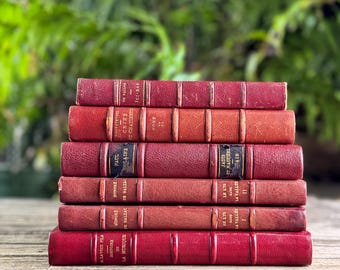 Antique Copper, Brown, and Red French Leather Book Bundle
