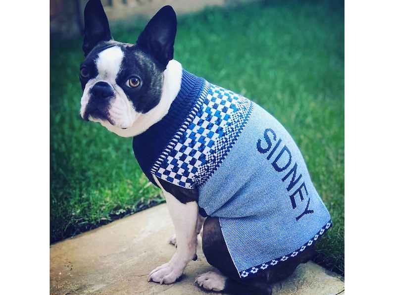 Luxury Personalised Dog Jumper Etsy UK