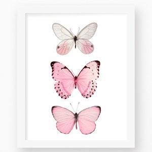 Pink Butterfly, Butterfly, Butterfly Print, Pink Butterfly Print, Pink Decor, Pink Color Art, Butterfly Art Print, Butterfly Wall Prints