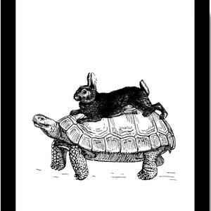 Tortoise and the Hare, Animal Humor, The Tortoise and The Hare, , The Race of the Tortoise and the Hare, Aesop's Fables, Poster Size