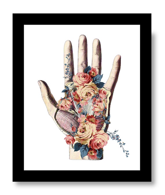 Download Anatomical Hand Anatomy Art Biology Art Hand Slides Floral Etsy