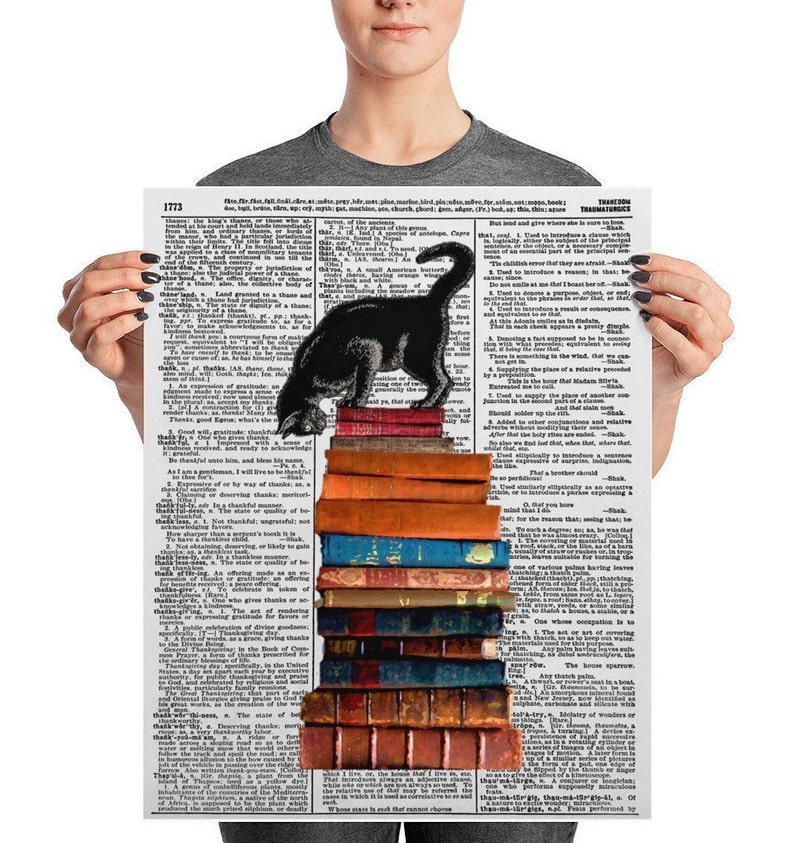 Cat on Stacked Books Book Humor Book Reader Humor so Many Etsy