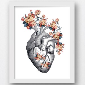 Anatomical Heart, Floral Heart, Floral Anatomy Artwork, Prints of Heart Anatomy, Cardiology Gifts, Cardiac Surgeon Art, Cardiology Prints