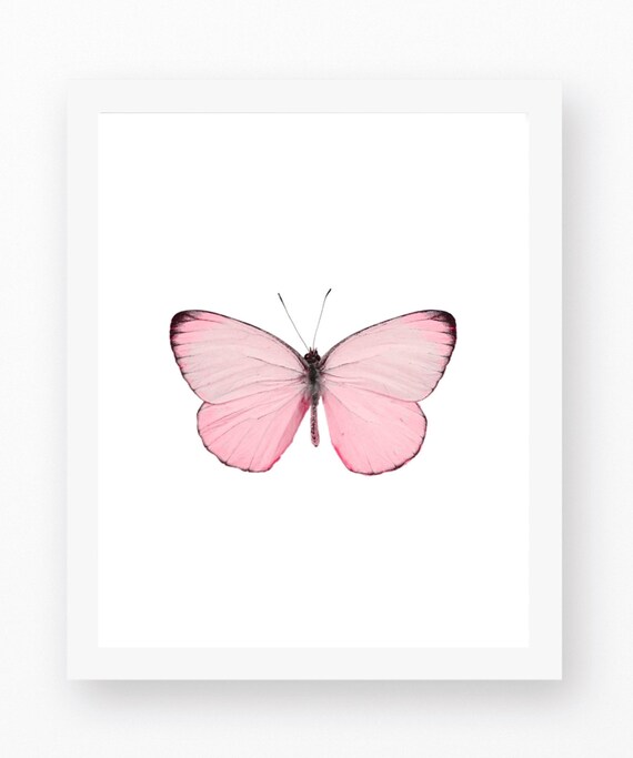 Butterfly Art Butterfly Prints Pink Butterfly Wall Art Art Etsy