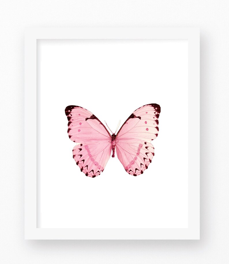 Pink Butterfly Prints Pink Decor Butterfly Art Prints Etsy