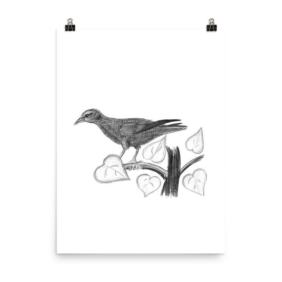 Dessins Doiseaux Oiseaux Dessin Doiseau Oiseau Simple Dessin Impressions Au Format Poster Impression Doiseaux Des Oeuvres Dart Des Gravures