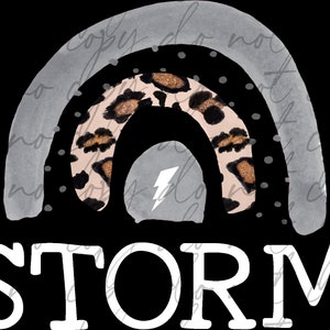 May include: A gray and black rainbow with a leopard print design and a lightning bolt in the center. The word "STORM" is written in white below the rainbow.