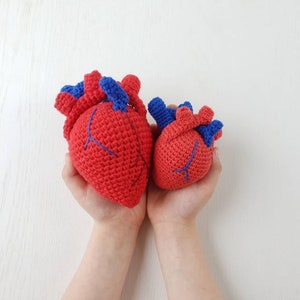 Anatomical Human Heart Crochet, Crochet Valentine&#39;s Day Anatomical Heart, Amigurumi realistic human heart, Gift for doctor, Student Gift