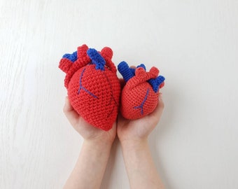 Easter gifts, Anatomical Human Heart Crochet, Crochet Valentine's Day  Heart, realistic human heart, Gift for doctor, Student Gift