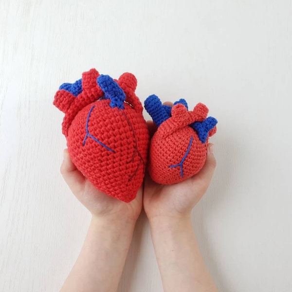 Anatomisches menschliches Herz häkeln, gehäkeltes Valentinstag-anatomisches Herz, Amigurumi realistisches menschliches Herz, Geschenk für Arzt, Studentengeschenk