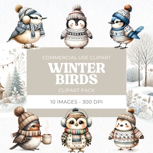 Imágenes prediseñadas de acuarela de pájaros de invierno, pájaros con sombrero y saltadores, lindo vivero de aves, petirrojo, temporada de nieve, descarga digital, uso comercial