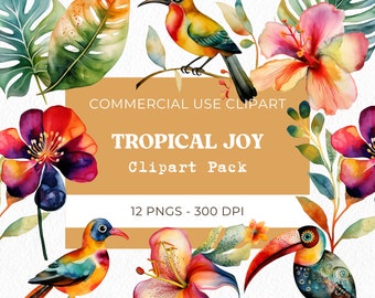 Acuarela Tropical Clipart, Flores Tropicales, Monstera Clipart, Pájaro Colorido Exótico png Greenery Descarga Digital, Uso Comercial, 12 Png