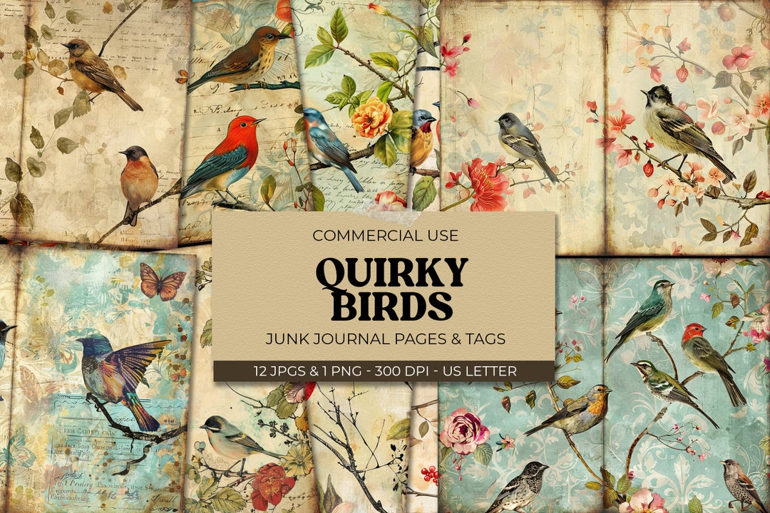 Quirky Birds Junk Journal Pages, Whimsical Scrapbook Vintage Papers ...