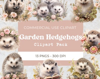 Hedgehog Clipart png, Watercolor Hedgehog, Woodland Animal, Cute Animal Clipart,  Garden| Digital Download | Commercial Use | 13 Png 300 Dpi