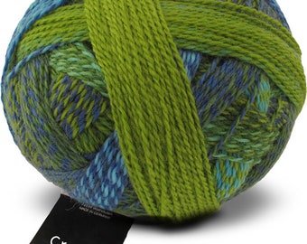 Euro159/kg Crazy Zauberball 100g Schoppel Color 2136 Spring is here