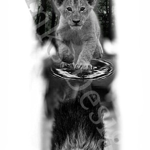 May include: A black and white image of a lion cub walking through a forest, reflected in a pool of water. The reflection shows the lion cub as a full-grown lion.