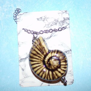 Op de afbeelding: Een zilveren ketting met een keramische hanger in de vorm van een nautilus schelp. De schelp is cr&egrave;mekleurig met bruine strepen.