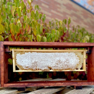Wooden Honeycomb Display Stand | Handmade | Raw Honeycomb