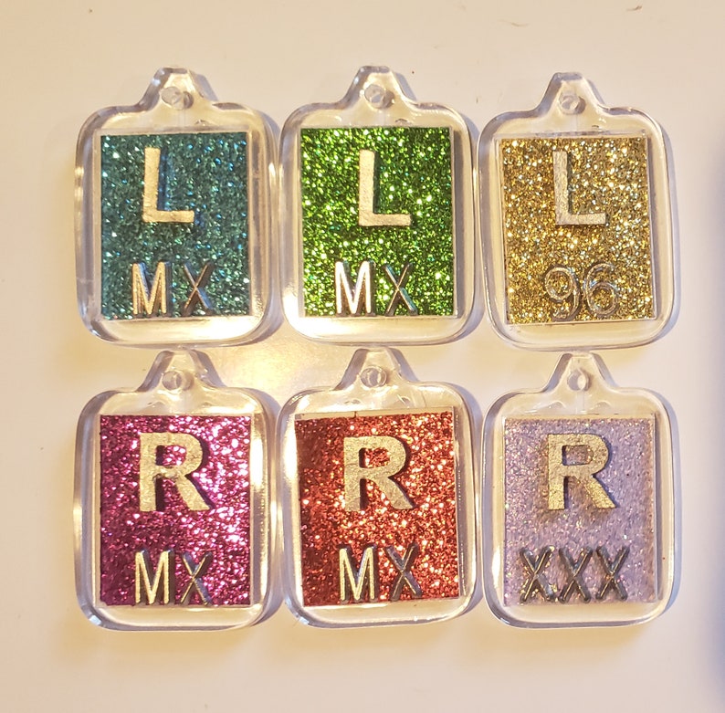 Three sets of xray markers with glitter background 3 R and 3 L with Initials image 3