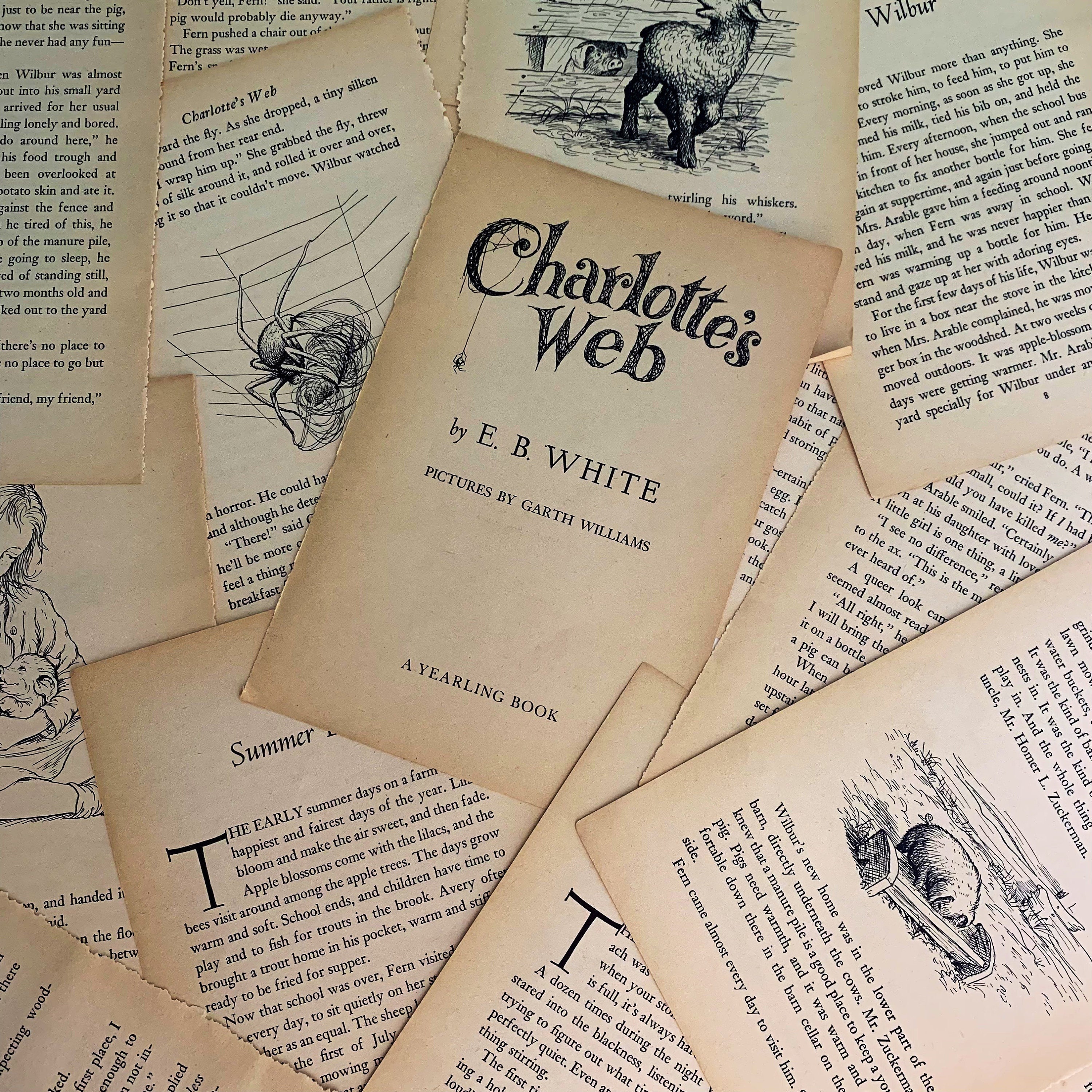 literary ephemera paper pack, junk journal supplies vintage book lovers lot