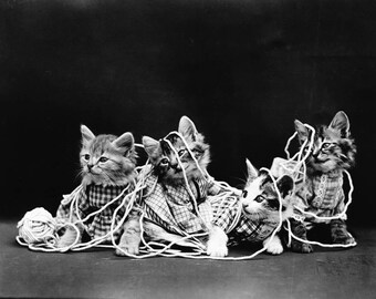 Chat Pelote Laine Etsy Chat Pelote Laine Etsy