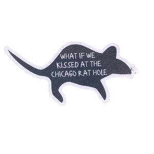 E se ci baciassimo al Chicago Rat Hole? / Divertente adesivo sarcastico / per bottiglie d'acqua, laptop, custodie per telefoni e altro ancora!