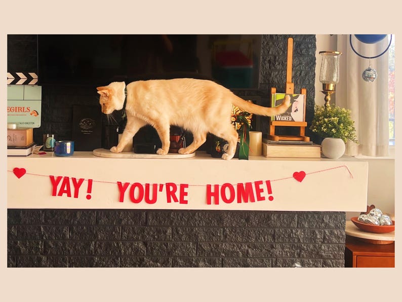 Pode incluir: Um gato de cor clara anda sobre uma lareira com uma faixa de feltro vermelho que diz "yay! you're home!" pendurada acima. A faixa &eacute; enfeitada com decora&ccedil;&otilde;es em forma de cora&ccedil;&atilde;o vermelho.